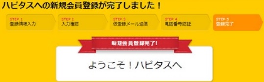 �n�s�^�X�o�^������ʂ̉摜