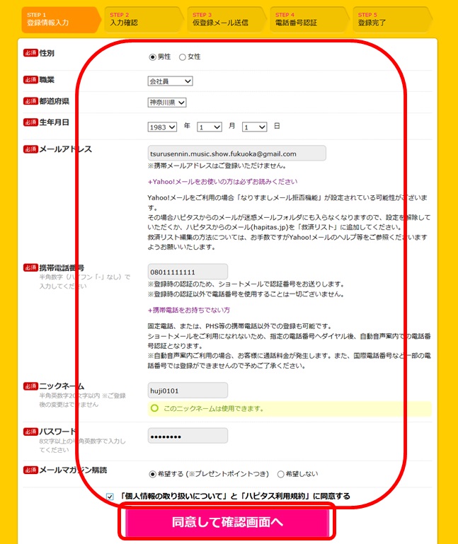 �n�s�^�X�o�^��ʂ̉摜